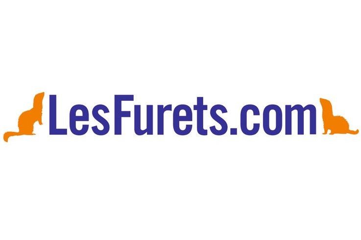 logo-les-furets